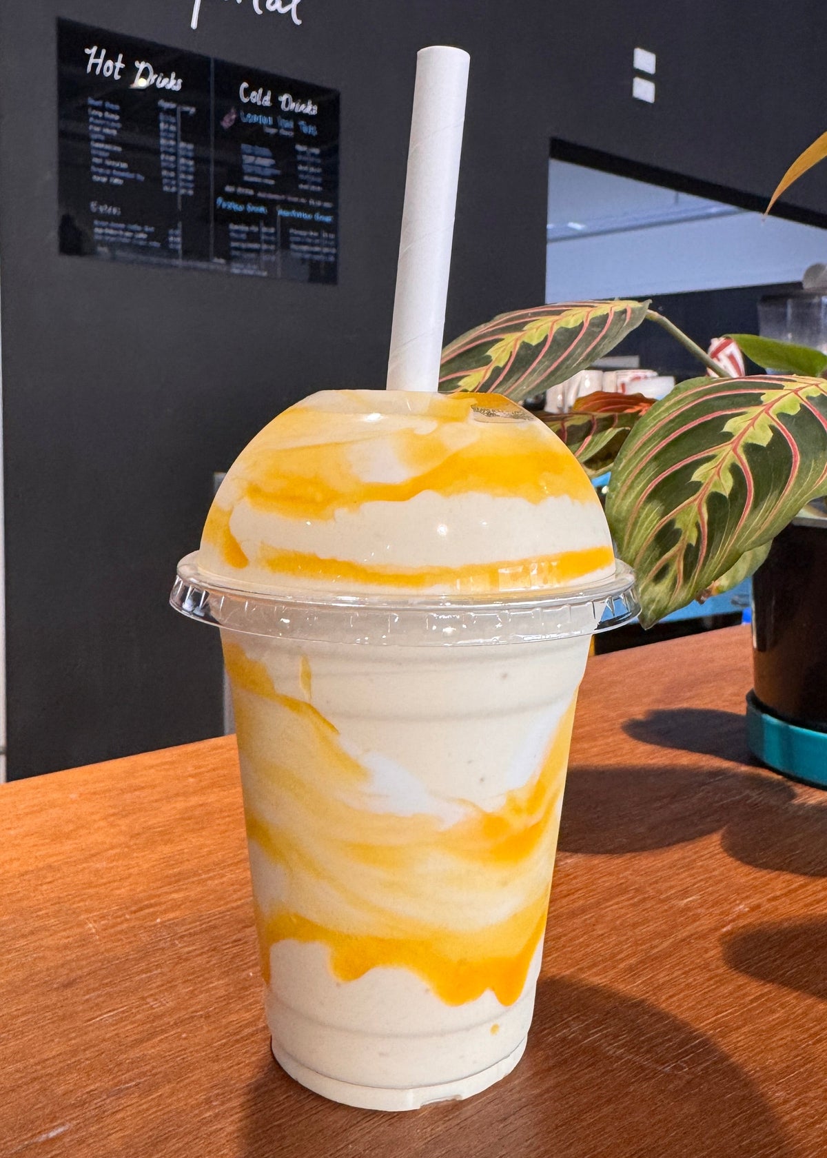 Mango To The Gym